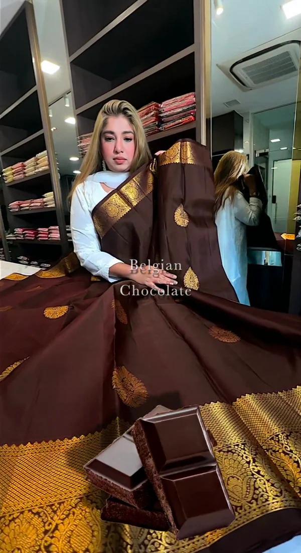 Brood Brown Soft Banarasi Silk Saree With Fancifull Blouse Piece